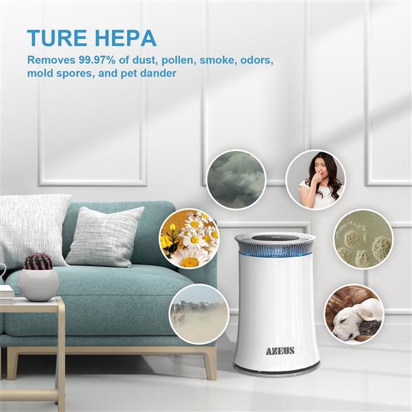 High CADR Air Purifier Ozone-Free